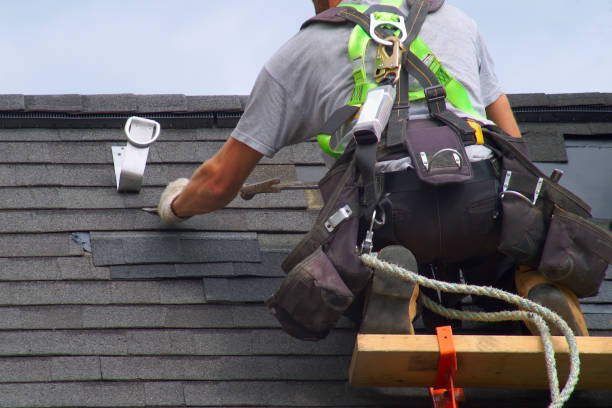 Best Roof Gutter Cleaning  in Flippin, AR
